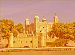 Tower of London, EC3N covered by London Security Installers for Grilles & Safes